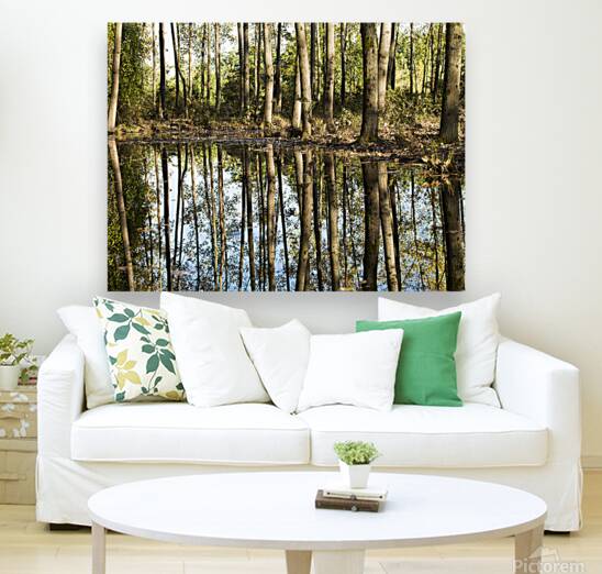 Mirror of the Woods Reproduction