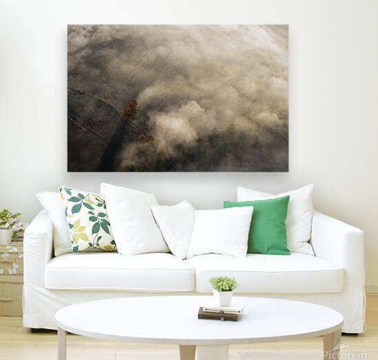 The Lonely Tree Reproduction