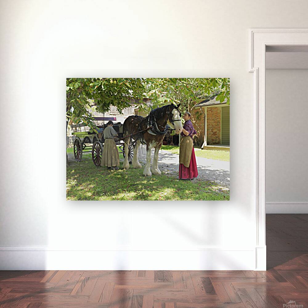 Timeless Companions Reproduction