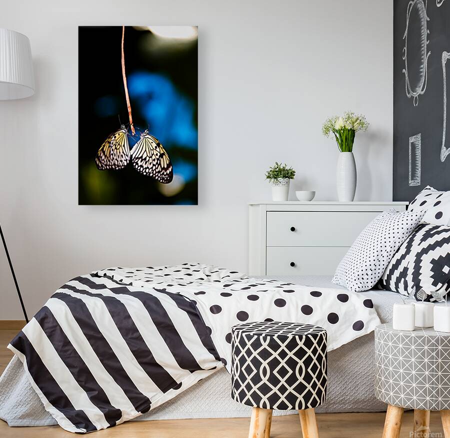 Together in Stillness Reproduction