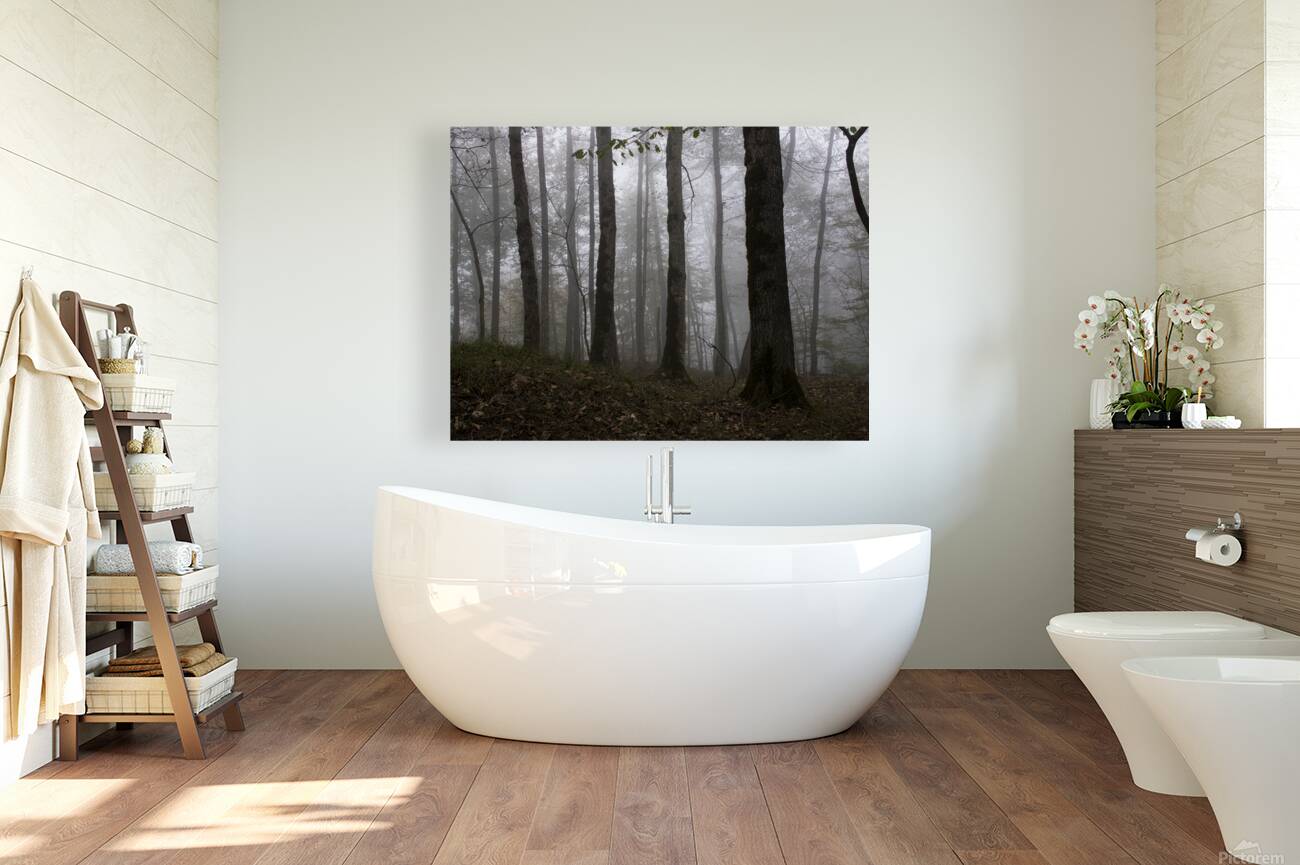 Whispers of the Fog Reproduction