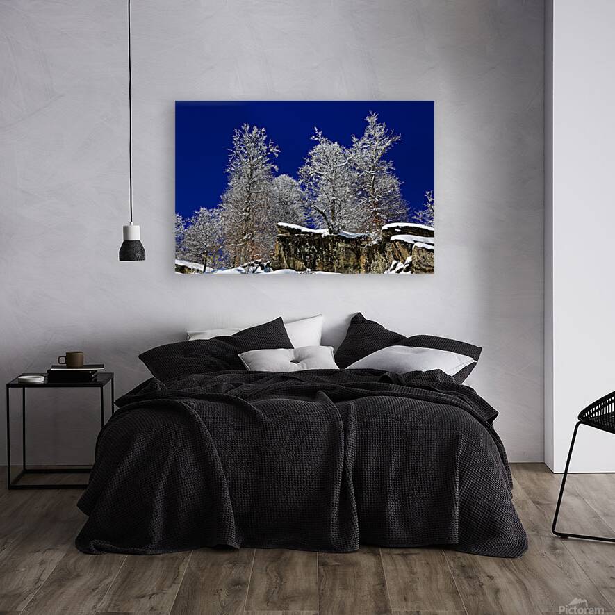 Winter Fortress Reproduction