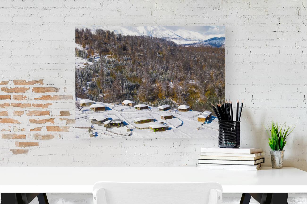 Silent Cabins Reproduction