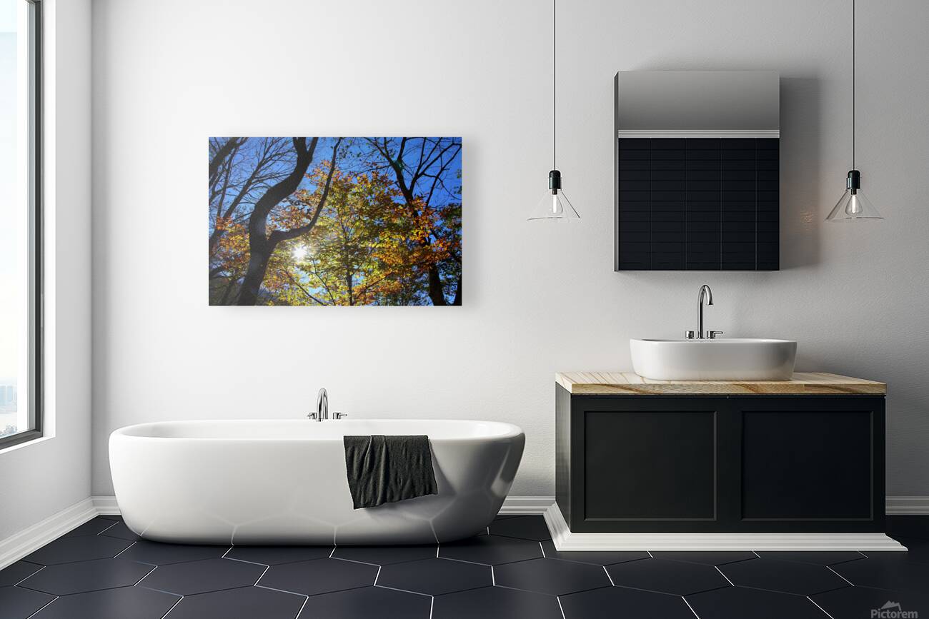 Through the Leaves Reproduction