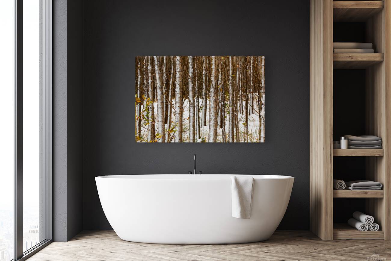 Song of Verticals Reproduction