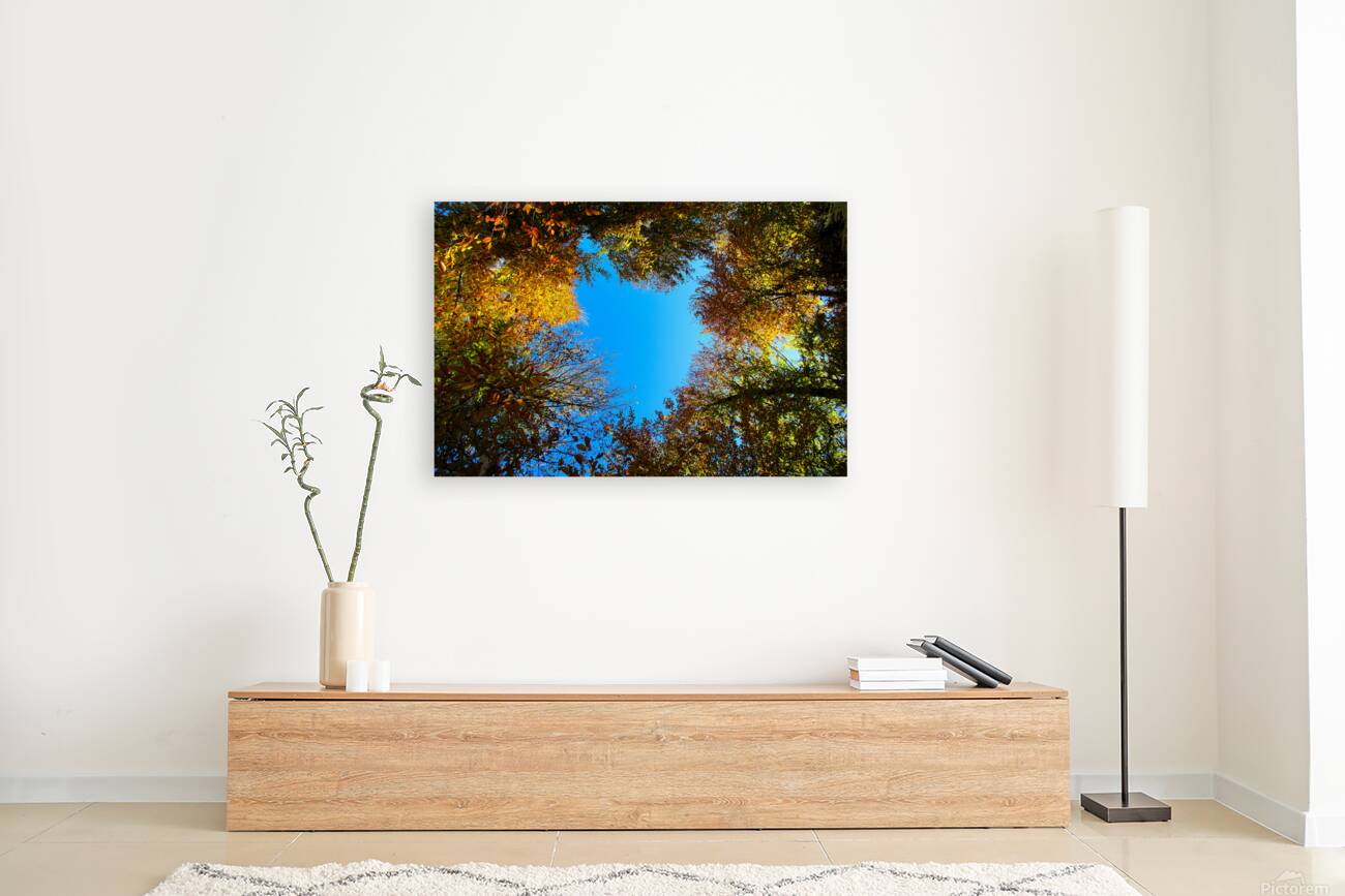 Window to the sky Reproduction