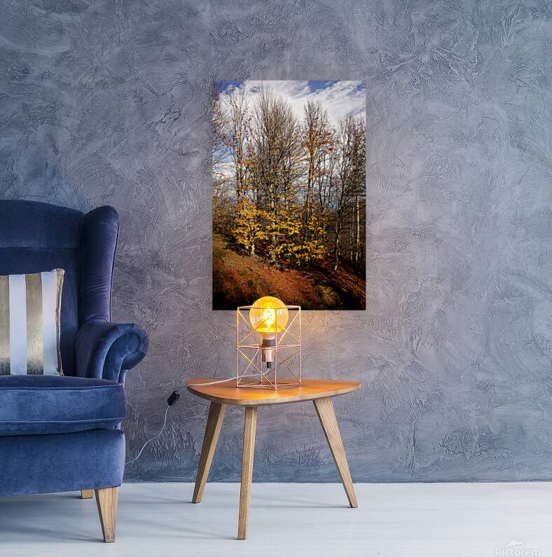 Autumn Silence  Reproduction