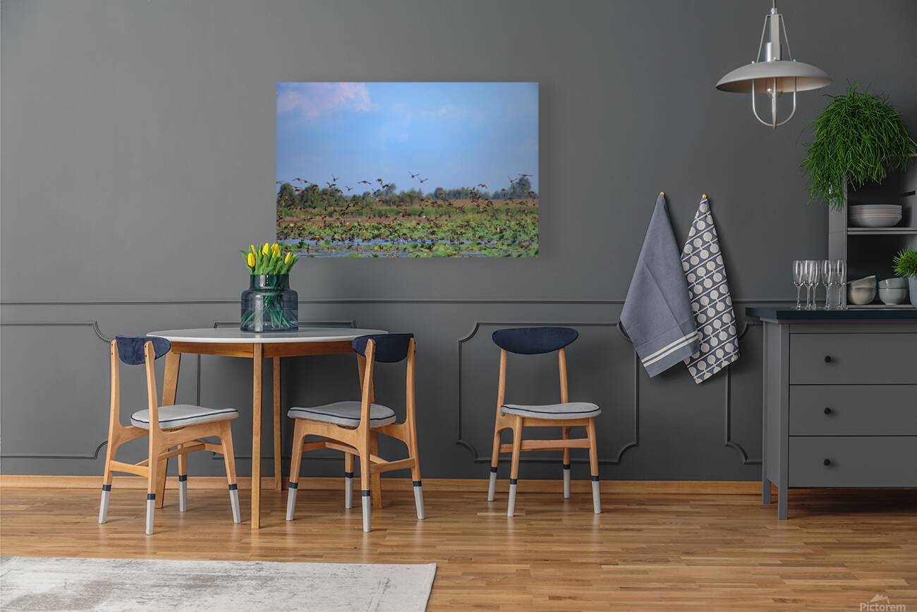 Flight of Freedom Reproduction