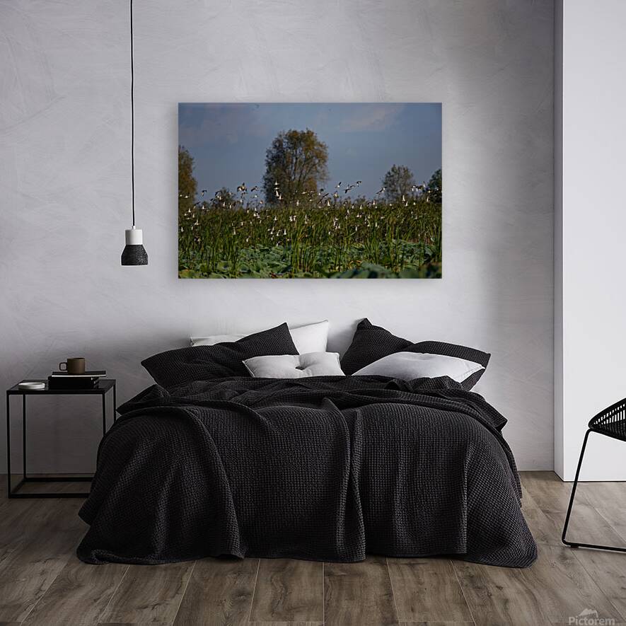 Whispers of the Marsh Reproduction