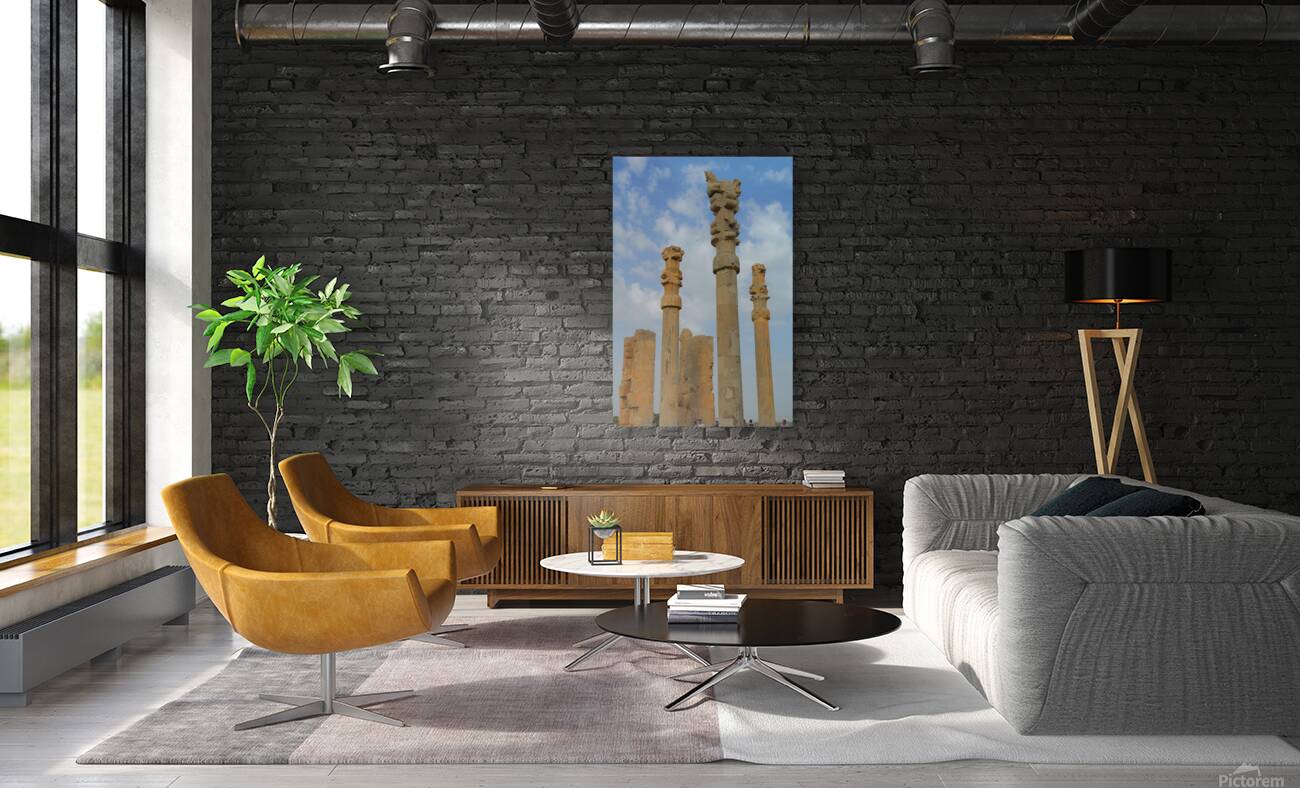 History                                Reproduction