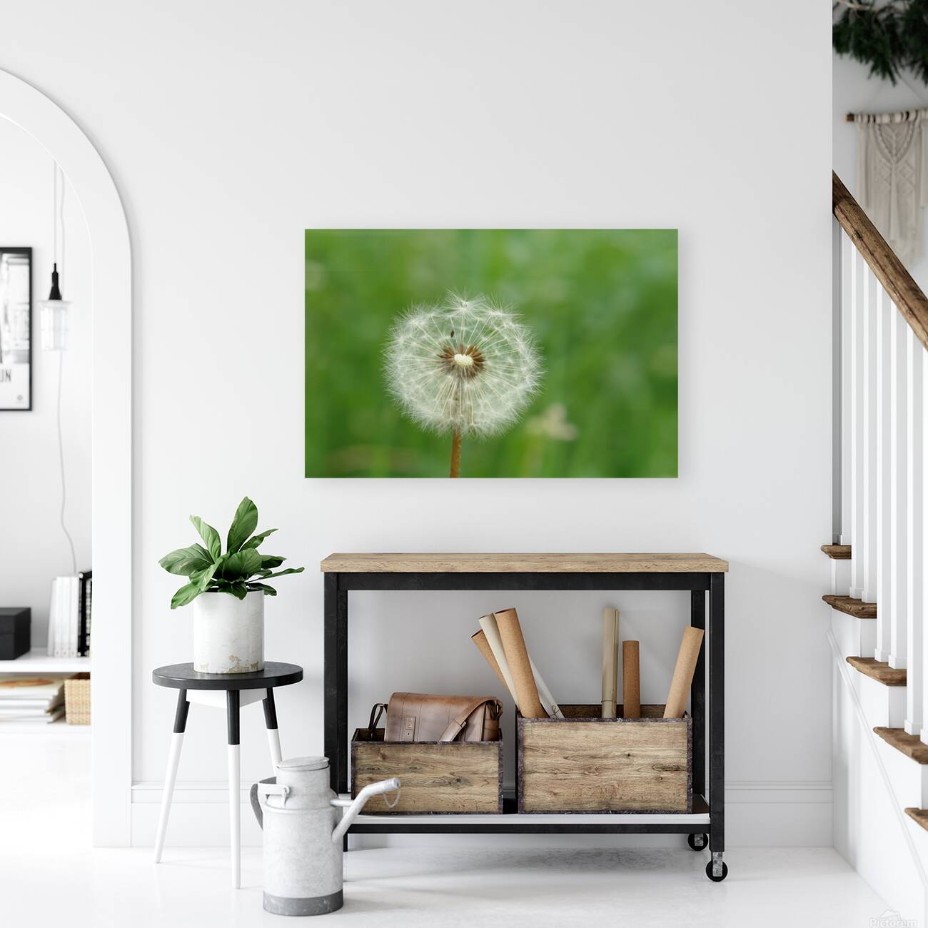 Dandelion Reproduction