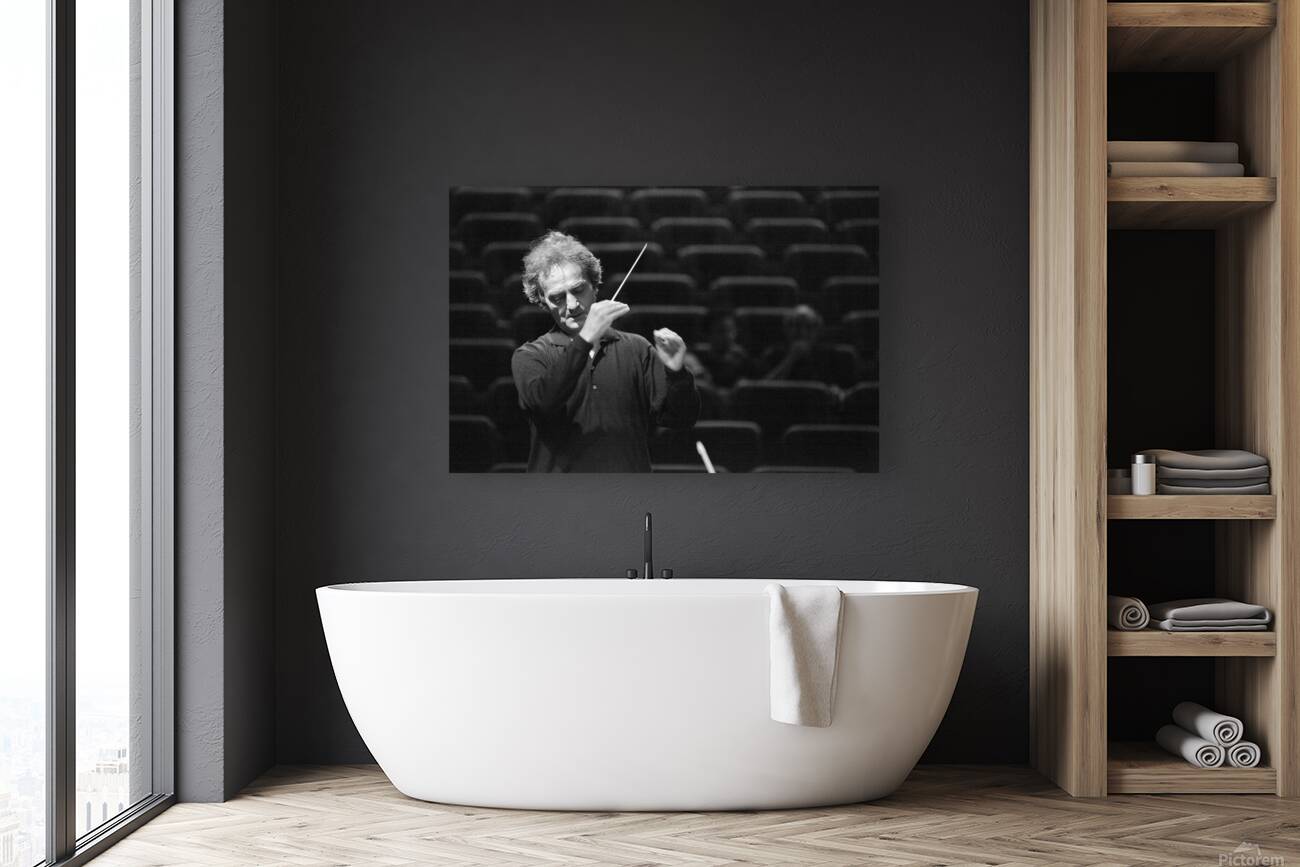 The Silent Symphony Reproduction