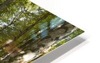 Breath of Hyrcanian Forest HD Metal print