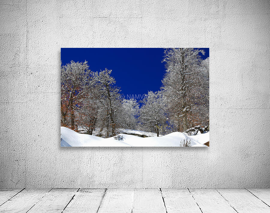  Silent White Wall Preview