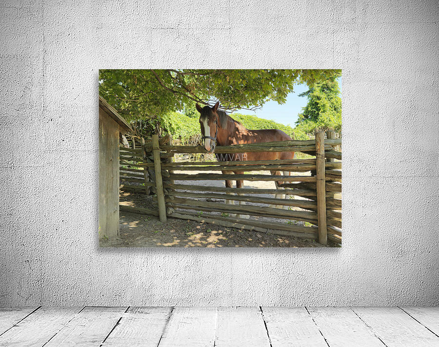 Brown Grace Wall Preview