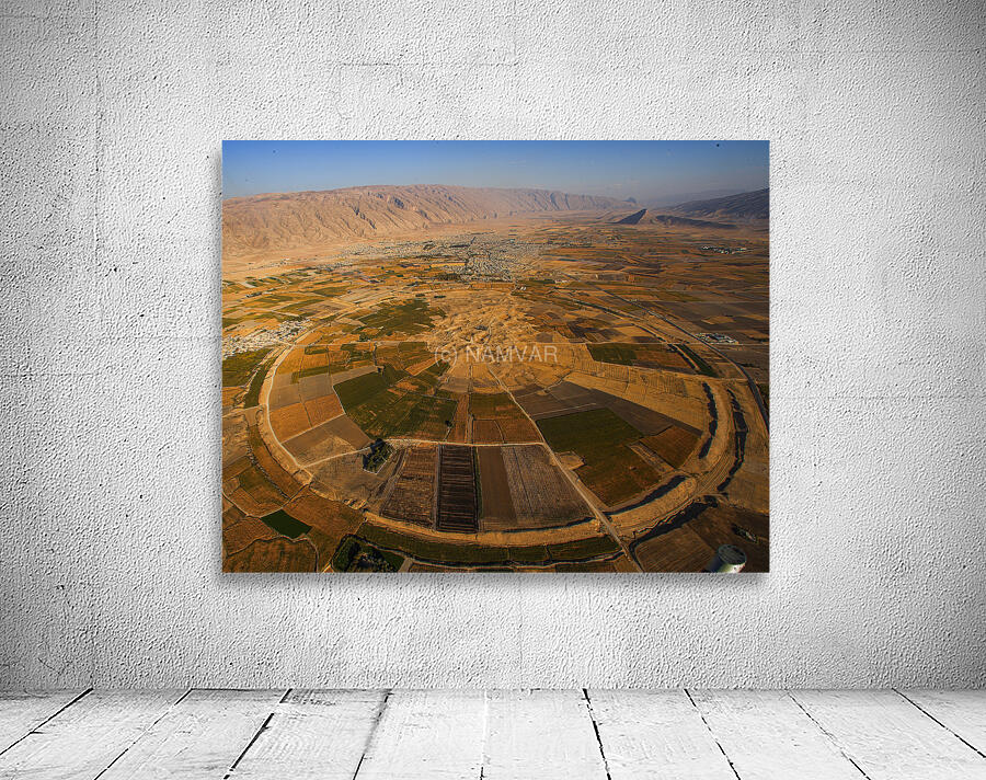 Circle of Life Wall Preview