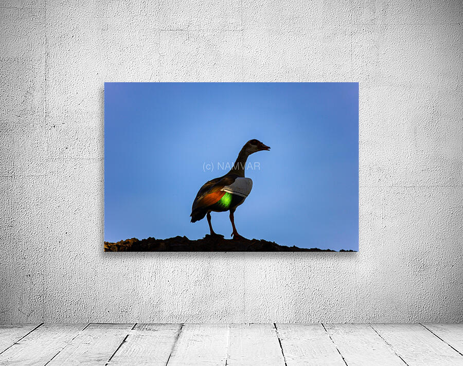 Emerald Flame Wall Preview