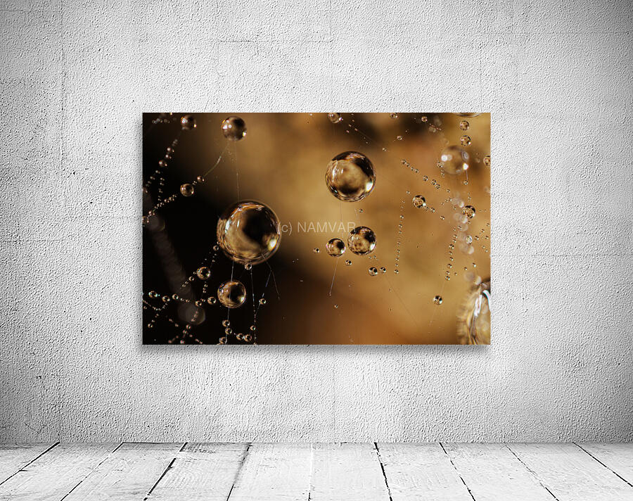 Floating Worlds Wall Preview