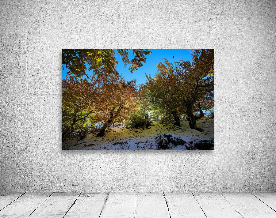 Embrace of Light Wall Preview