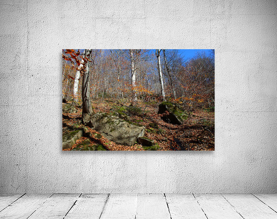 Echoes of Leaves Wall Preview