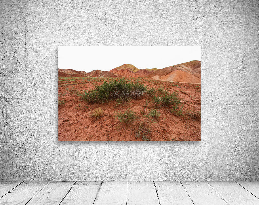 Roots of Fire Wall Preview