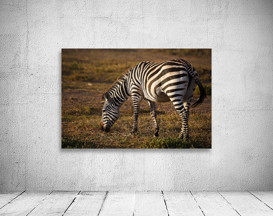 Stripes of Life Wall Preview