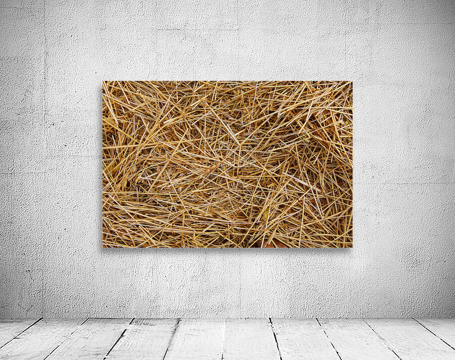 Silent Nest Wall Preview