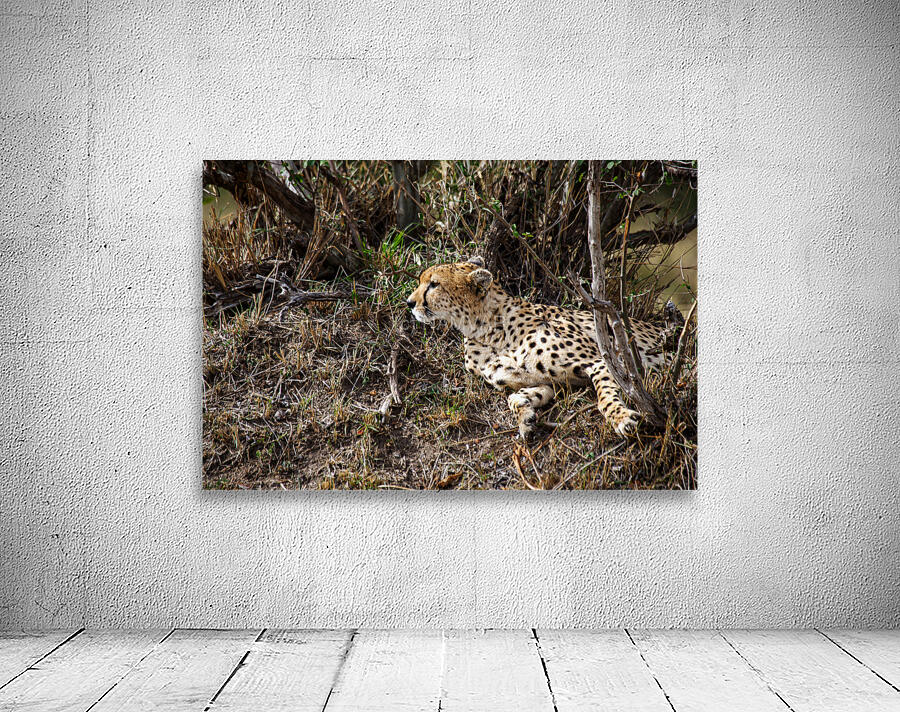 Silent Hunter Wall Preview