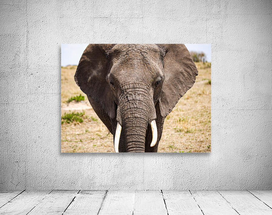 Timeless Strength Wall Preview