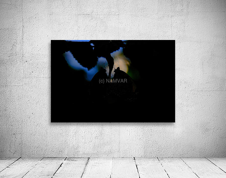 Silent Connection Wall Preview