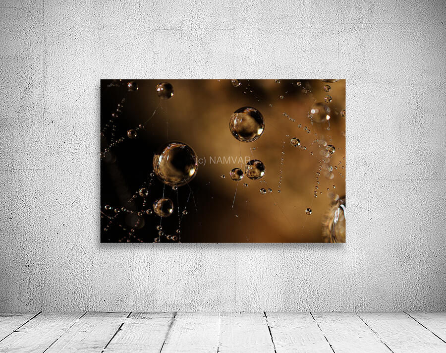 Web of Stars Wall Preview