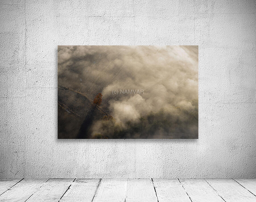 The Lonely Tree Wall Preview