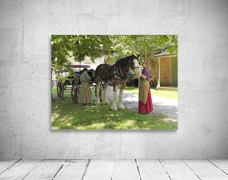 Timeless Companions Wall Preview