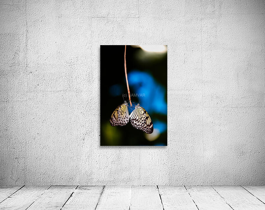 Together in Stillness Wall Preview