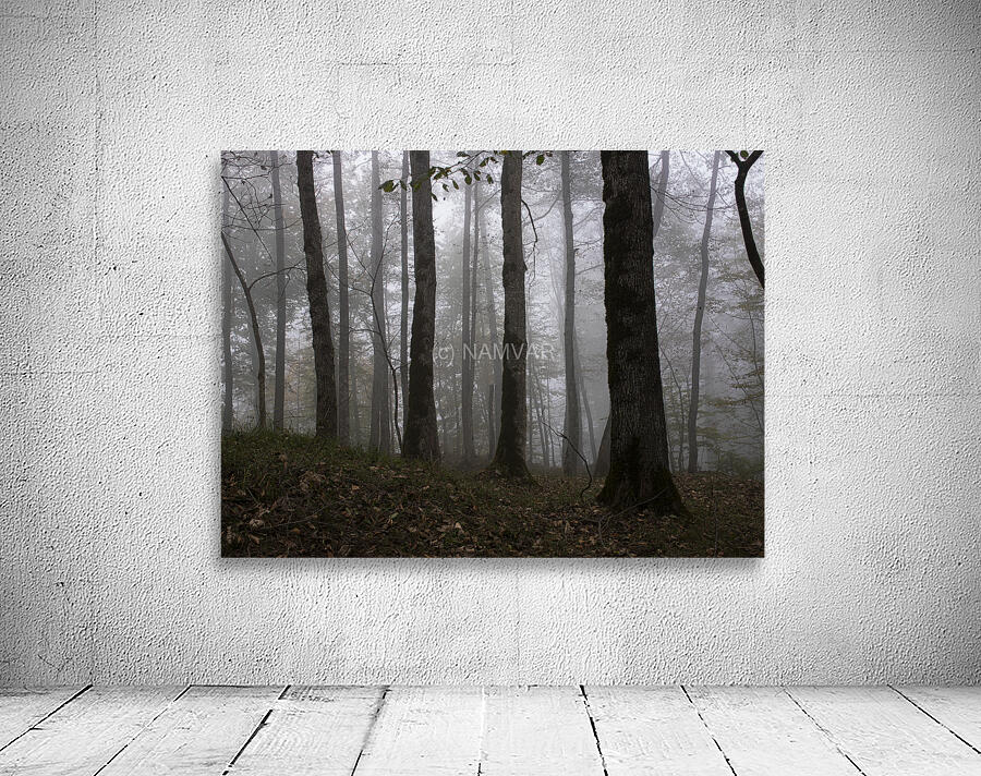 Whispers of the Fog Wall Preview