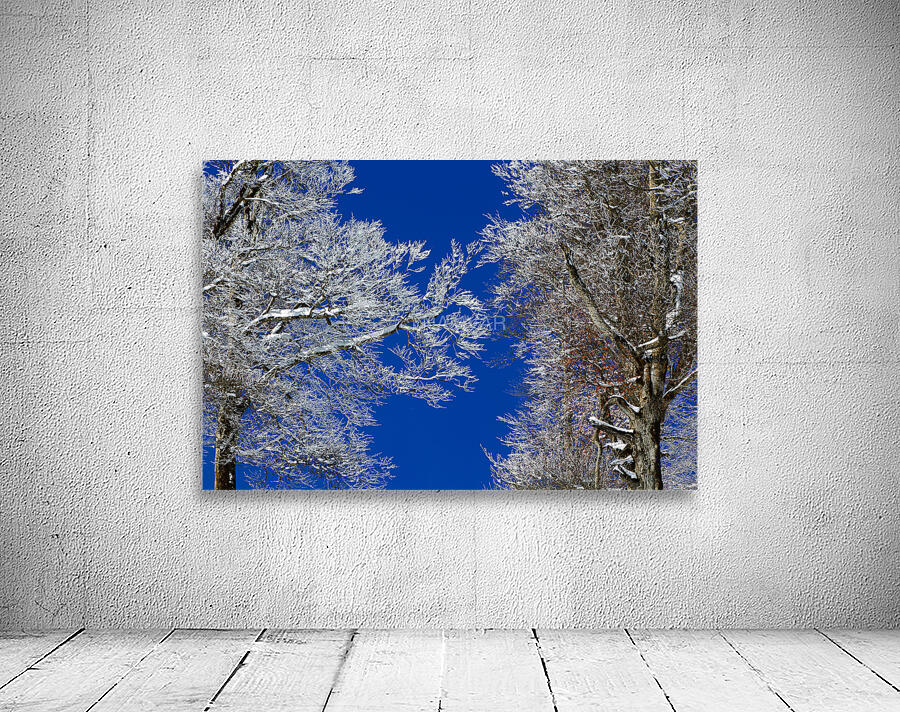 Winter’s Embrace Wall Preview