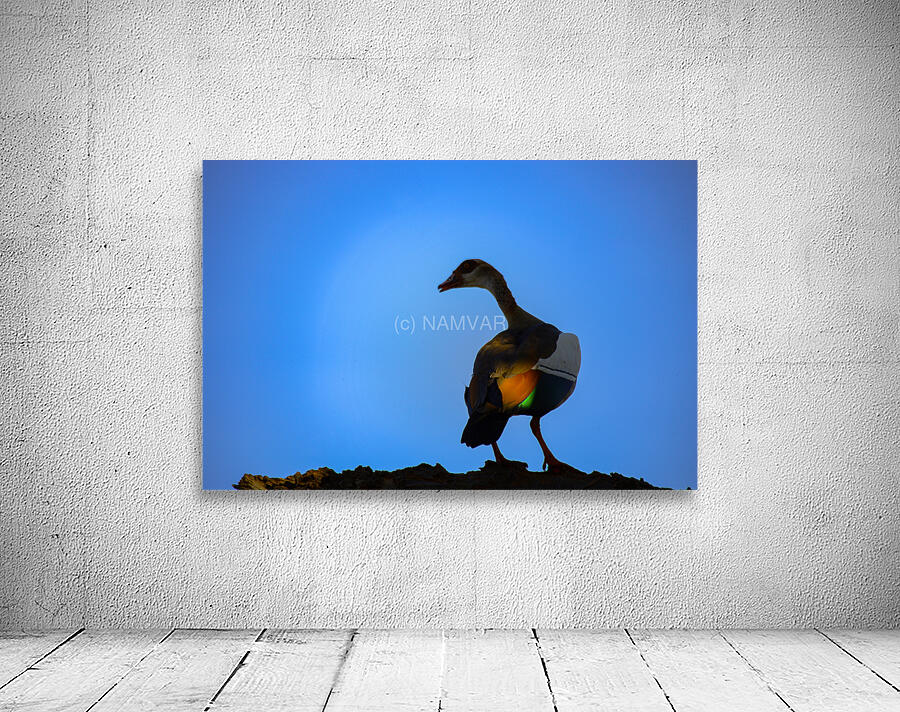 Wings of Light Wall Preview