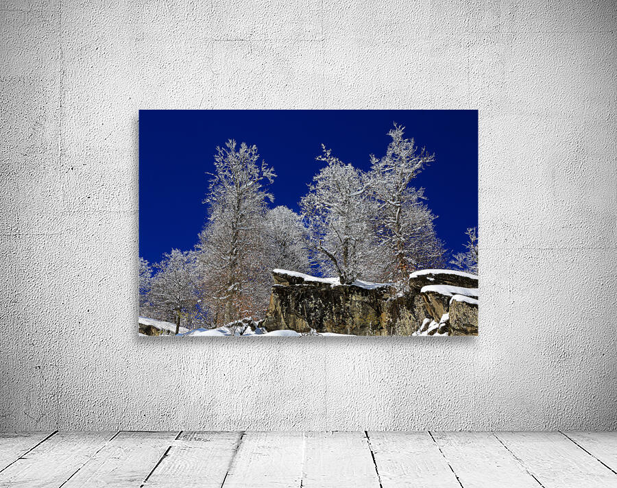 Winter Fortress Wall Preview