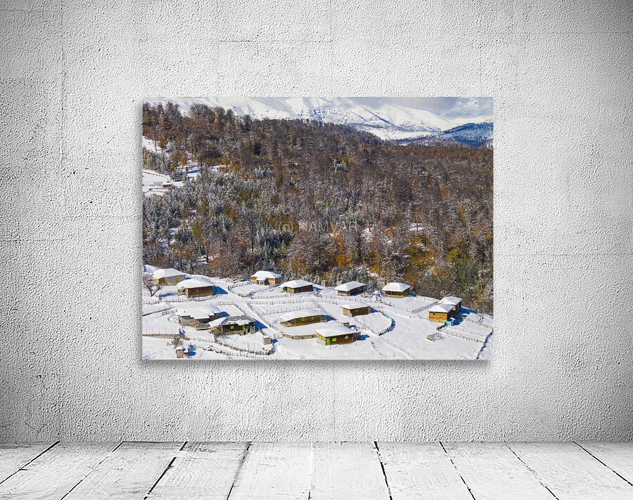 Silent Cabins Wall Preview