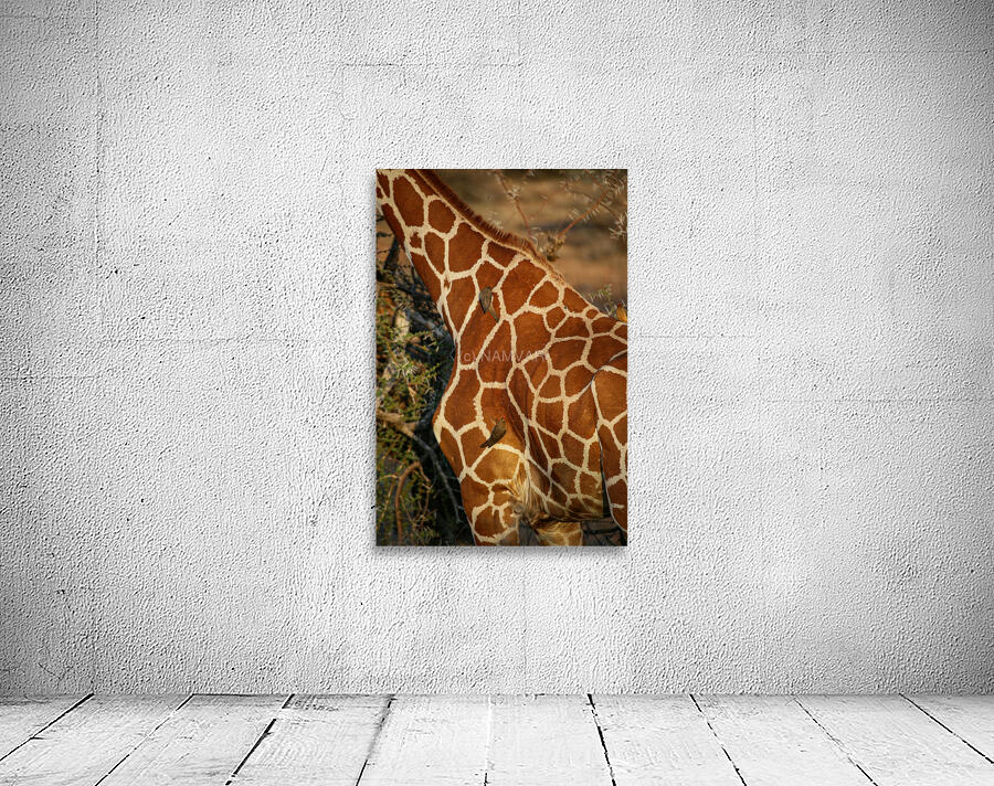 Symphony of Survival Wall Preview