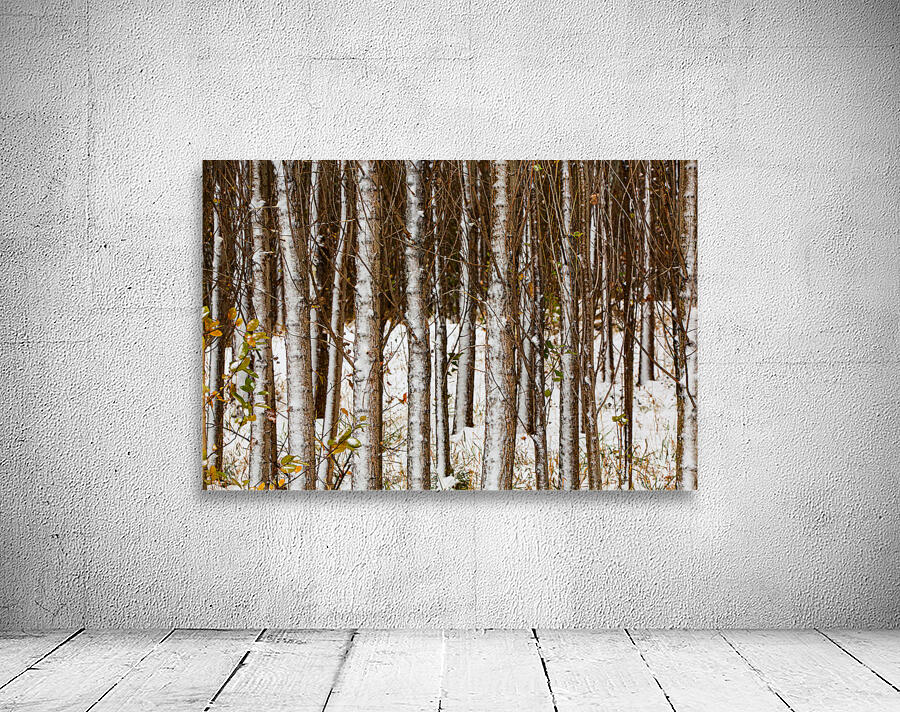 Song of Verticals Wall Preview