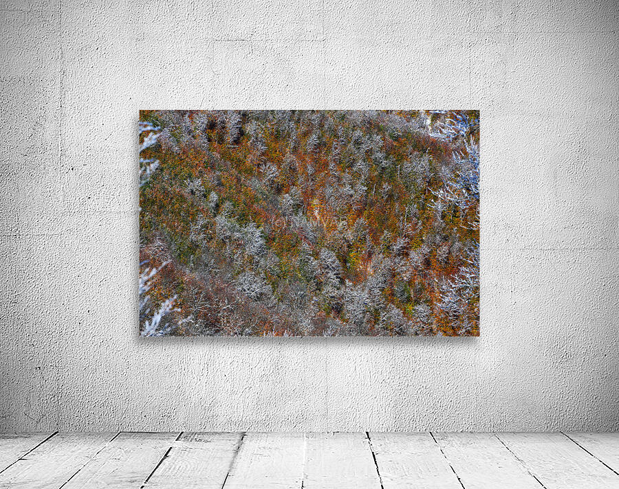 Poetry of Seasons Wall Preview