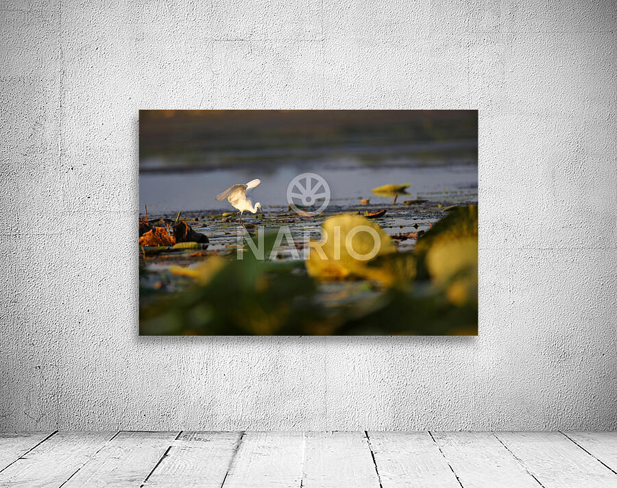 White Egret Wall Preview