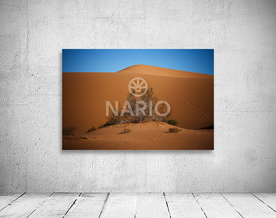 namvar 1144 Wall Preview