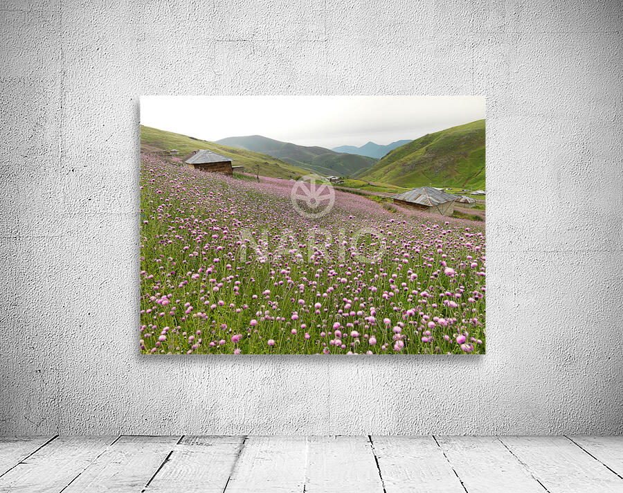 Valley of Blossoms Wall Preview