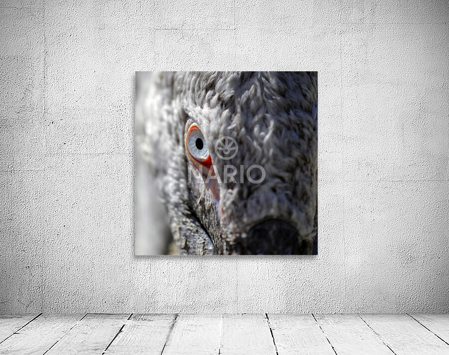 The Watchful Eye Wall Preview