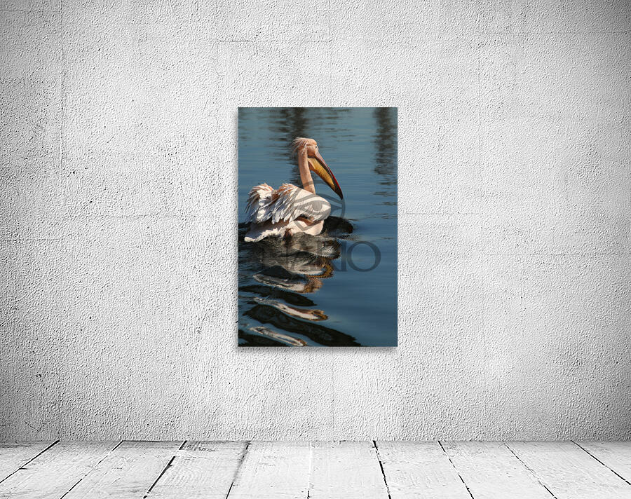 pelikan04 moreDetail x4 9544x14340 2pass photo.pn Wall Preview