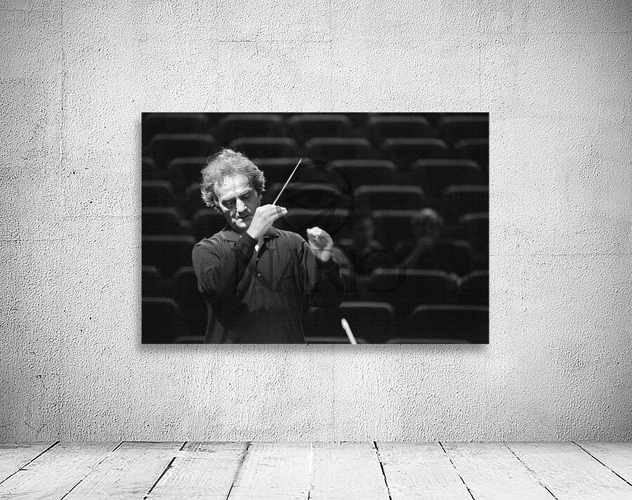 The Silent Symphony Wall Preview