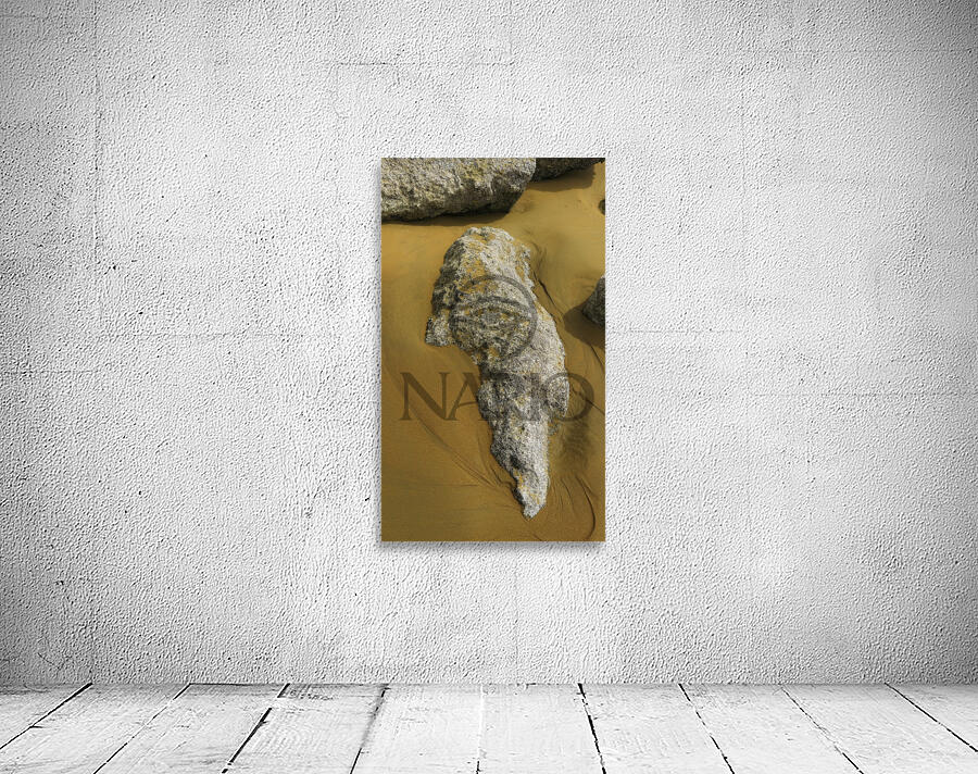 Shape of Time Wall Preview