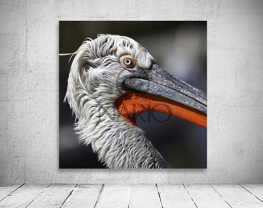 The Watchful One Wall Preview